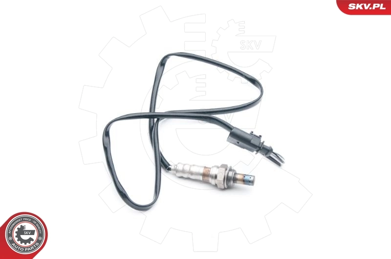 Oxygen Sensor